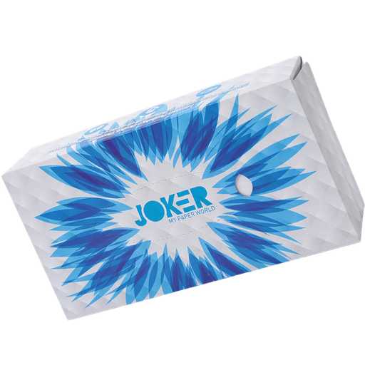 [1012 008] Lenço Facial